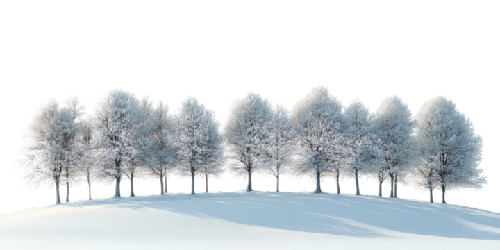 White snow landscape isolated on a white transparent background
