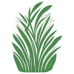 grass garden illustration green
