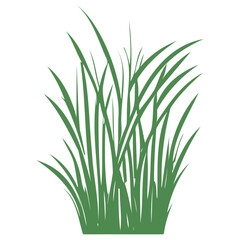 grass garden illustration green