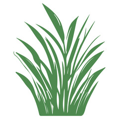 grass garden illustration green