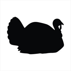 Silhouette of a turkey bird with fanned tail ready for thanksgiving celebration and autumn harvest