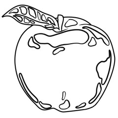 Fruit coloring page black outline with moderate detail antistress for adults and children, moderate detail, educational, printable