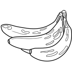 Fruit coloring page black outline with moderate detail antistress for adults and children, moderate detail, educational, printable