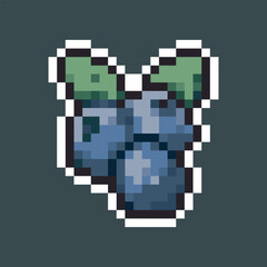 blue berry in pixel art style