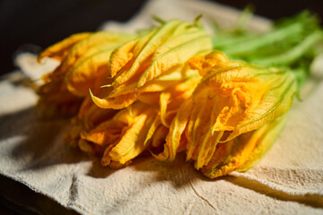 Squash blossoms as healthy seasonal ingredient in Mexican cooking, flor de calabaza o ahuyama