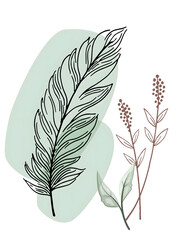feather  illustration © crystal