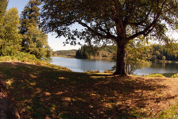 Lake Aberdeen on a sunny day