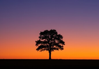 Fototapeta premium A solitary tree stands silhouetted against a breathtaking sunrise, showcasing a tranquil and peaceful atmosphere.