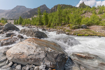 Water flows over rocks in a serene mountain landscape near a forest under a clear sky in summer