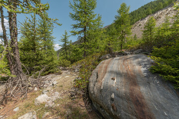 Scenic landscape featuring a large boulder amidst lush greenery in a mountainous area during daytime