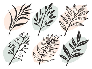 Obraz premium Minimalist Botanical Set with Abstract Shapes