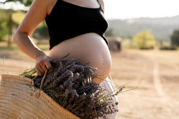Pregnant farmer woman holding lavender bouquet and basket in field