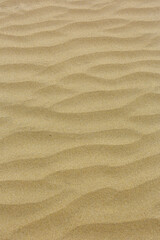 Beach sand texture with ripple pattern in desert.