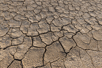The background is dry and cracked,Close up shot of drought, dried soil photographed from top view.