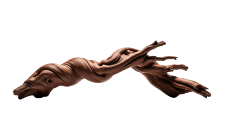 Intricately twisted, gnarled mahogany-brown wood branch, macro shot on transparent studio background, high-contrast lighting emphasizing texture, concept of natural resilience