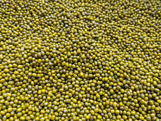 Small grains of canned green peas