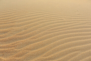 Beach sand texture with ripple pattern in desert.