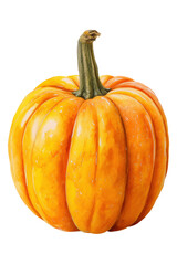 Obraz premium Watercolor halloween fresh orange pumpkin isolated on transparent background