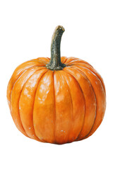 Obraz premium Watercolor halloween fresh orange pumpkin isolated on transparent background