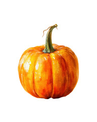 Watercolor halloween ripe pumpkin with stem isolated on transparent background