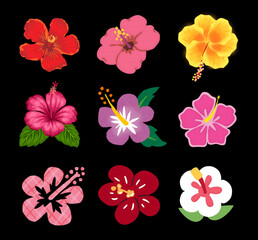 sticker design of hibiscus flowers