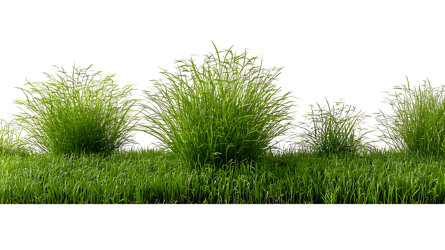 Cut out green grass field transparent backgrounds