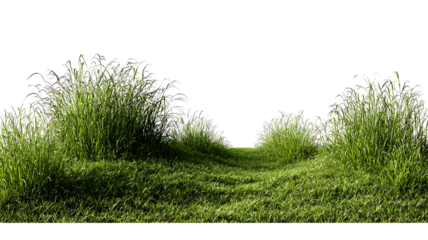 Cut out green grass field transparent backgrounds.Png