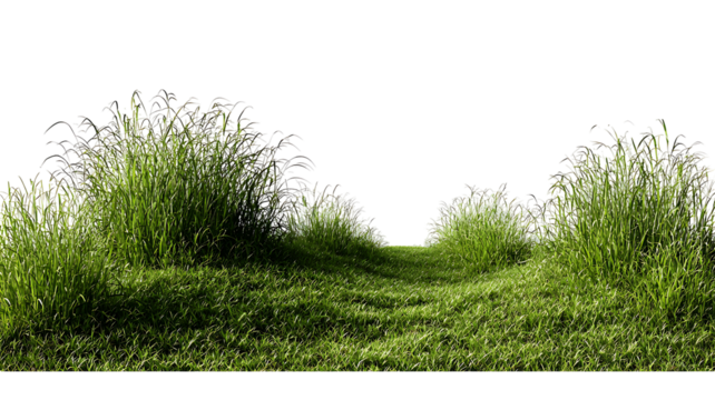 Cut out green grass field transparent backgrounds.Png