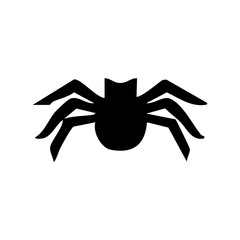 spider icon