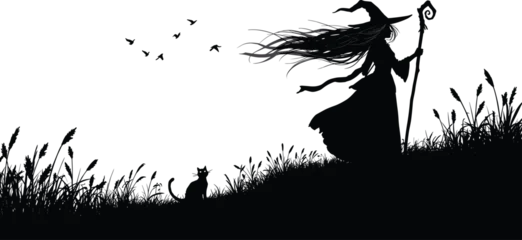 Fototapete Schwarz Silhouette of a witch with flowing hair and pointed hat holding a staff, accompanied by a cat, birds, grass landscape  © Hanif World