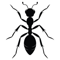 Ant Silhouette Isolated on White Background
