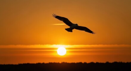 Fototapeta premium Silhouette of a bird in flight during a vibrant orange sunset
