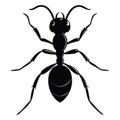 Ant Vector Graphic Silhouette EPS Design