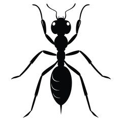 Ant Silhouette Isolated on White Background