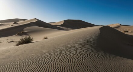 Vast desert dunes under a clear sky