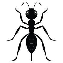 Ant Silhouette Isolated on White Background