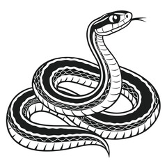 Fototapeta premium Coiled Snake Illustration Striking a Pose in Black and White, Venomous Reptile with Intricate Scale Detail, Wildlife Serpent Depicted