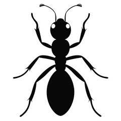 Ant Silhouette Isolated on White Background