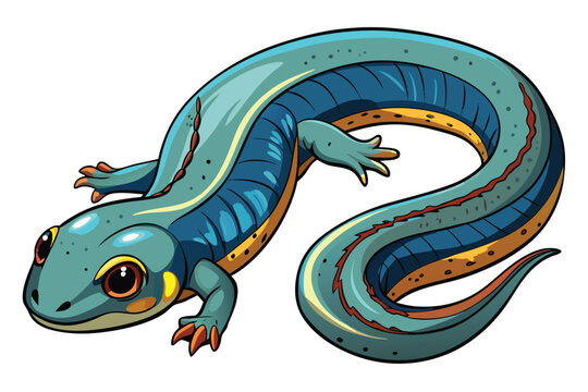 Colorful Cartoon Salamander Illustration of an Amphibian Creature with Distinct Features and Markings on a White Background