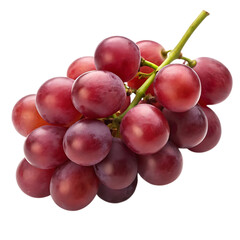 Fototapeta premium Fresh red grapes on a stem against a black background