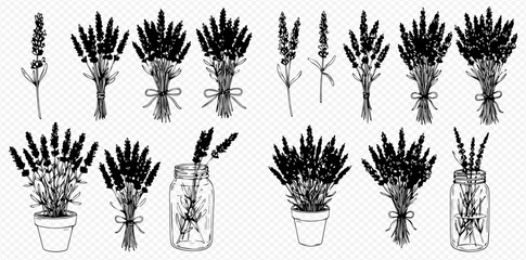 A collection of hand-drawn lavender illustrations, including bouquets, potted plants, single stems, and sprigs in a jar.