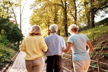 A Family Enjoying a Leisurely Walk in a Beautiful and Scenic Park This Autumn Season