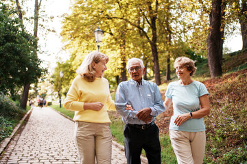 Cherishing the Joy of Enjoying a Peaceful Walk in an Autumn Park with Close Friends