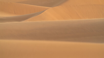 Golden sand dunes sculpted by the wind create a mesmerizing abstract pattern under the warm desert sun