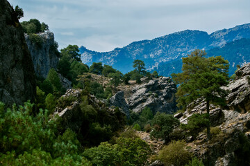 Paisaje típico del parque natural de Cazorla, Segura y Las Villas.