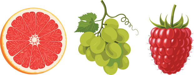 Colorful vector illustration of grapefruit slice, green grapes bunch, and raspberry fruit, fresh organic healthy food artwork for nutrition and diet themes