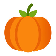 Pumpkin colorful icon vector on white background 