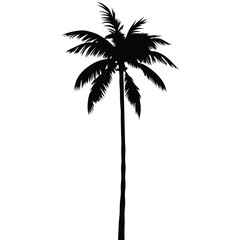 Obraz premium Nature Palm Tree Silhouette Graphic Design