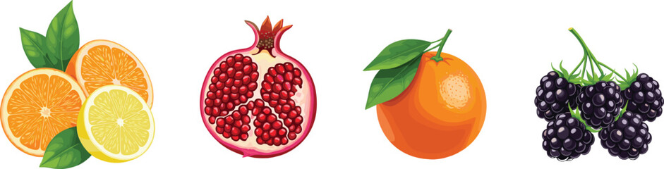 Vector illustration of colorful fruits including sliced oranges, ripe pomegranate with seeds, fresh orange with leaves, and blackberry cluster for healthy food design