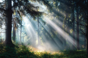 Sunbeams stream through a misty forest illuminating the trees and undergrowth creating a magical atmosphere